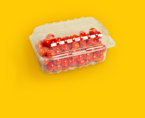 Контейнеры для овощей и фруктов, коррексы